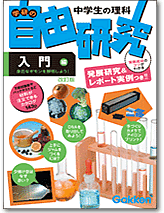 入門編